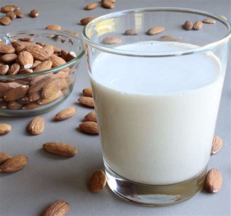 Миндальное молоко: польза, состав, рецепт приготовления в домашних условиях