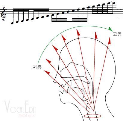 A Phonetic Map Of The Human Mouth Artofit