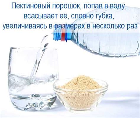 Всё, что вам нужно знать о пищевой добавке Е440: описание, свойства ...
