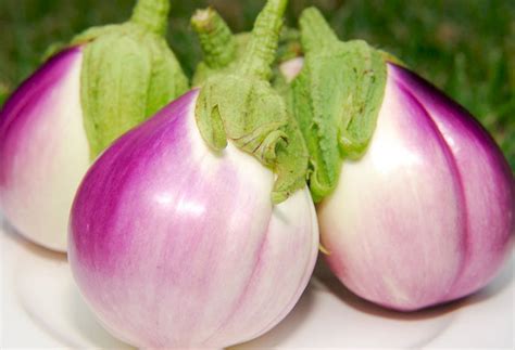 Самые вкусные сорта баклажанов