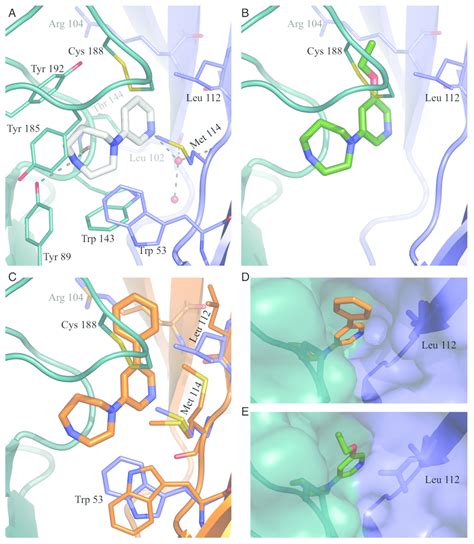 Detailed Binding Modes For Compounds A Shown Is The Binding Mode