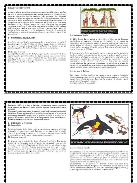 Evolución Y Biodiversidad Pdf Evolución Organismos