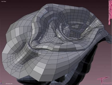 Realistic Female Genital Pussy Vagina Blaze Model D Model In Anatomy Dexport