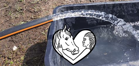 Водата е най-важното ястие!