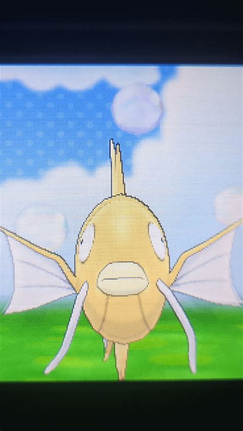 Vi Need Nickname For Shiny Magikarp Im Not Evolving Her R