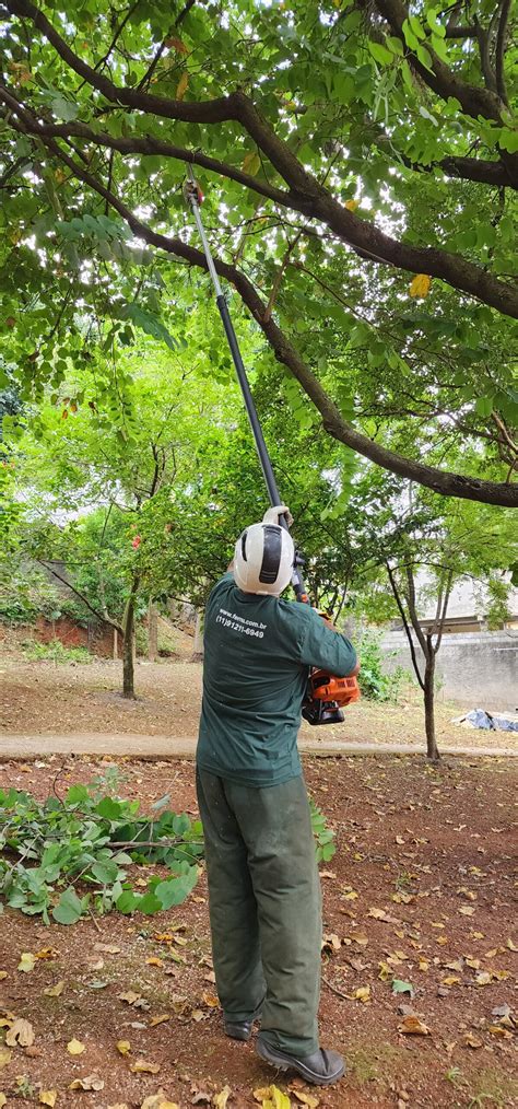 Ferrea Poda E Remoção De Árvores