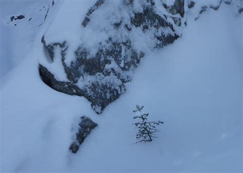 Families trust the team at Castle Ridge Mortuary 20