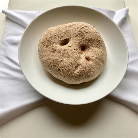 Sourdough Biga For Italian Bread Recipe Wise