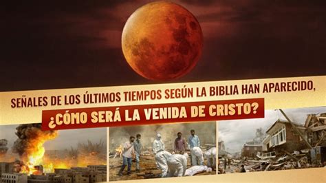 Las Se Ales Del Fin Del Mundo En La Biblia Han Aparecido