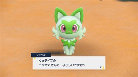 サカズキ🍡🌸🎀🐙🐰🍄🌿🐳🐱💙🌟🤖🍙🐈🤍 On Twitter ポケモンsv ニャオハと出発 ニャオハお前 昨日の展開 最初の御三家は