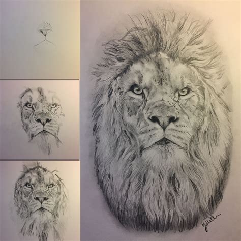 Рисунок карандашом морда льва - 80 фото