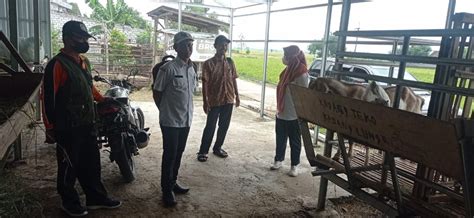 Pelaksanaan Kegiatan Pengembangan Kapasitas Kelembagaan Kelompok Ternak