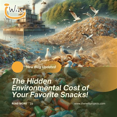 The Hidden Environmental Cost of Your Favorite Snacks! - The I Will ...