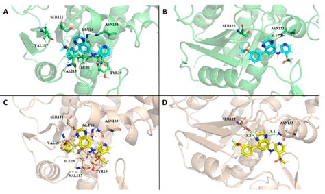 Illustration of protein−ligand binding modes for the PFKFB3−ligand_41 ...