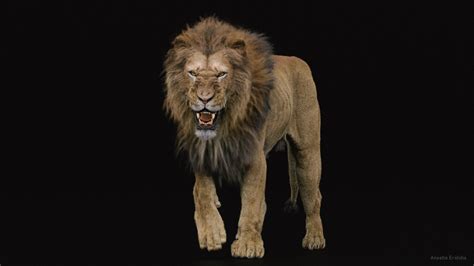 Lion 3d Model Finished Projects Blender Artists Community