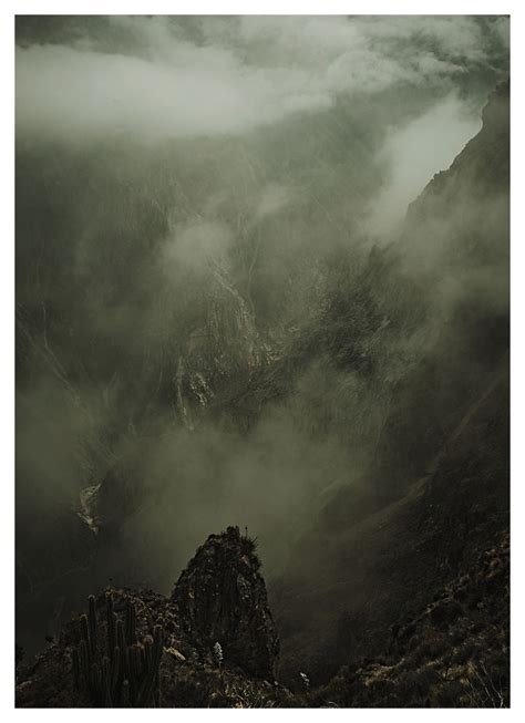 Fotografia amateur consultas Página