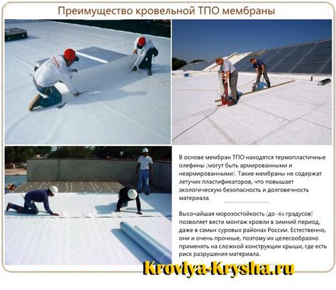 Виды мембранной кровли