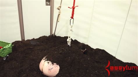 Degrading Anal Burial For Strung Out Teen