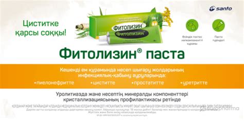 Купить Фитолизин 100 мл паста д/приема внутрь — Europharma