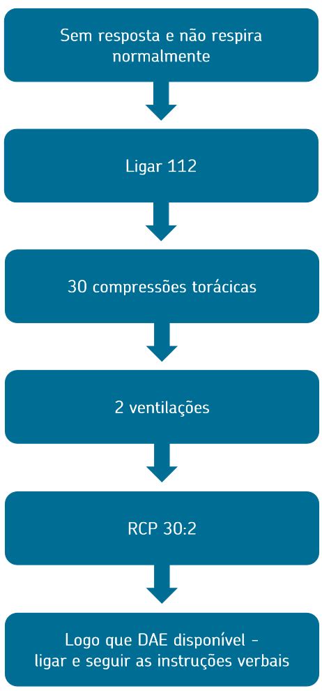 Erc Suporte B Sico De Vida