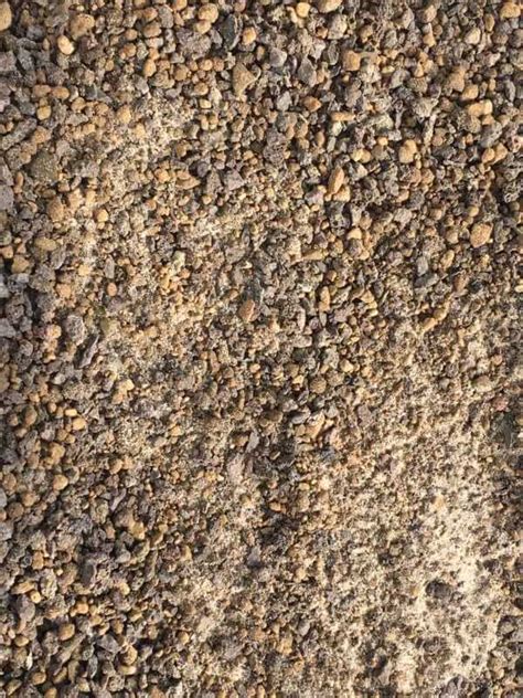 5 Liter Stapelia Substrat im Online-Shop kaufen - Sukkulenten-kaufen.de