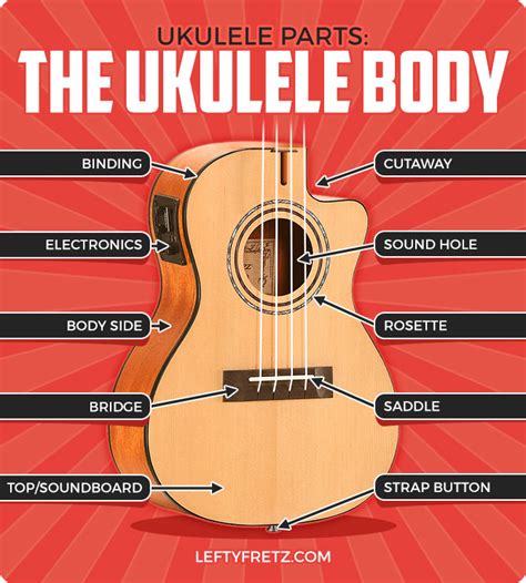 ukulele body parts ukulele anatomy  parts   ukulele hkxh