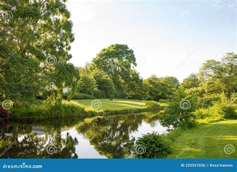 Beautiful Landscape Of Park Trees Located Along The Bank Of The Canal