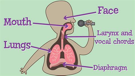 What Are Vocal Warm Ups Bbc Bitesize