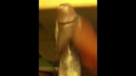 Jerking With Lotion Pornhub Gay