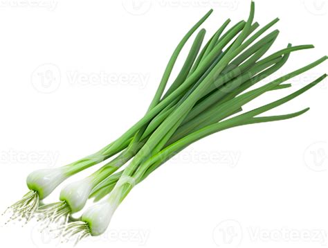Green Onion Transparent Background 46438223 Png