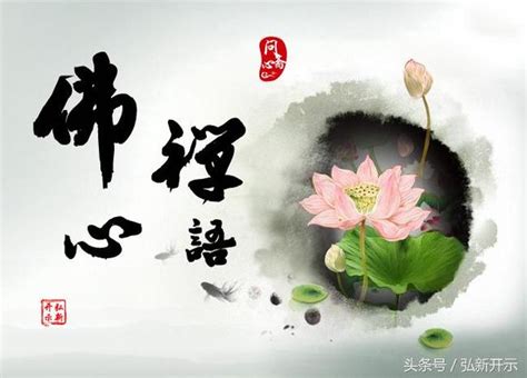 弘新開示：佛心禪語（連載三） 每日頭條