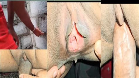 Sri Lankan Sexy Couple Pussy Licking Asian Porn Feat Srihotx Xhamster