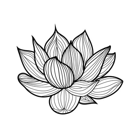 Олигопептиды