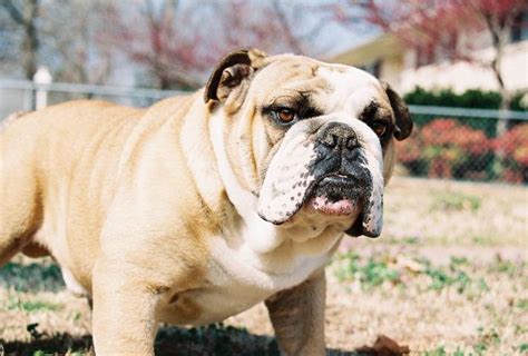 What You Need To Know About Nude Webcam Videos And Why Победа с Педуниверситетом