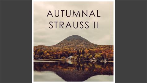 J Strauss II Auf Der Jagd Polka Op 373 Recorded 1969 YouTube