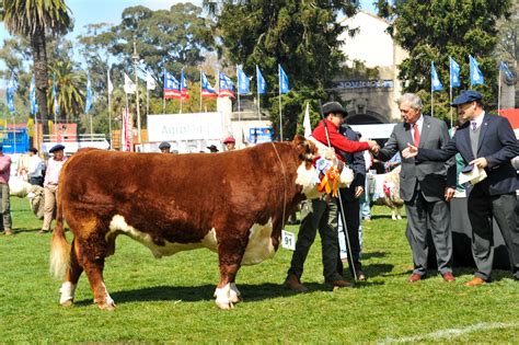 Ceremonia de cierre de la Expo Prado 2024 | Presidencia