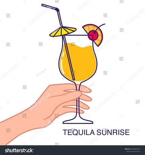 Hand Holds Glass Tequila Sunrise Cocktail Stock Vector Royalty Free