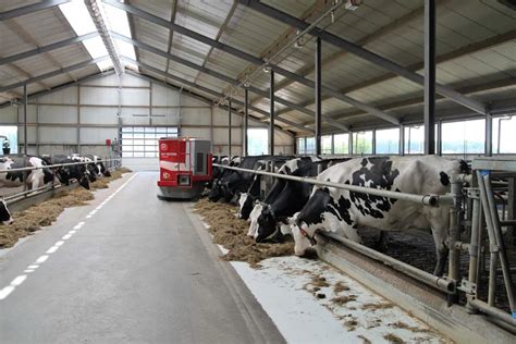 Key Rules To Improve Feed Conversion Ratio Fcr In Dairy Animals For