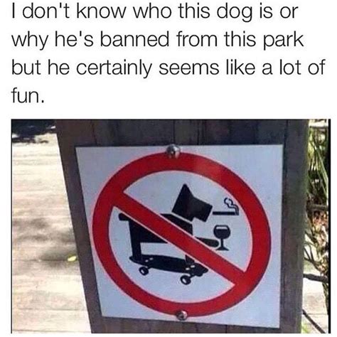 60 Funny Skateboard Memes Skatezoned