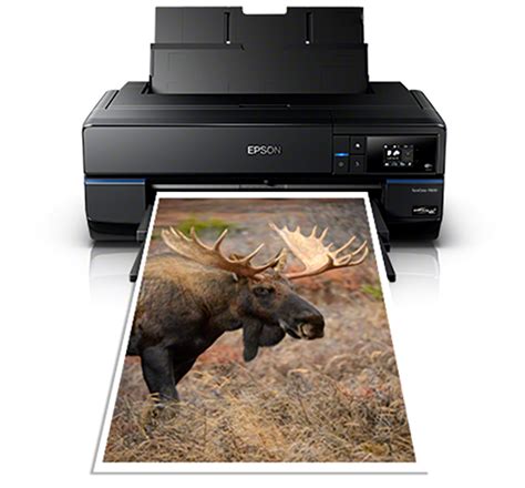 Epson P800 Is Here Moose Petersons Website