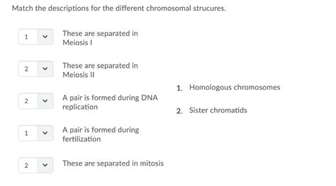 Solved Match the descriptions for the different chromosomal | Chegg.com