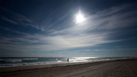 Sharks Bite Three Surfers in Separate Attacks at New Smyrna Beach