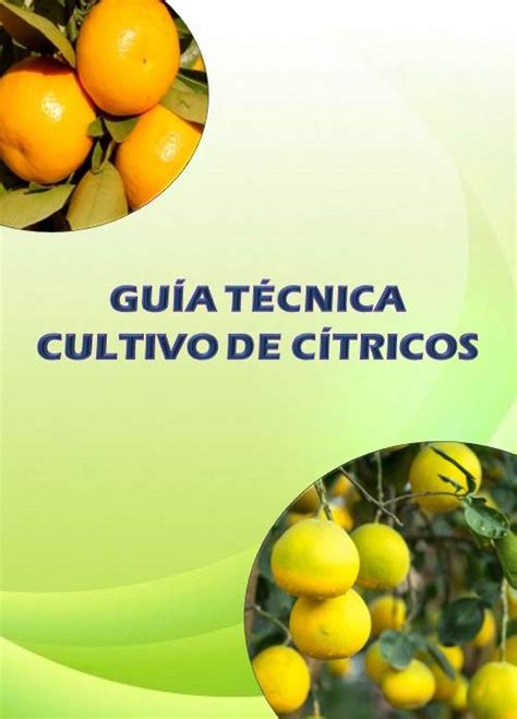 Gu A T Cnica Cultivo De C Tricos