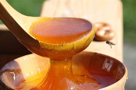 Виды меда и их характеристики с фото, правила выбора качественного продукта