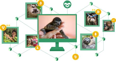 Donate Cryptocurrency The Sloth Conservation Foundation