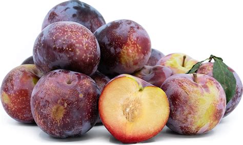 Yummy Rosa® Plums Information and Facts