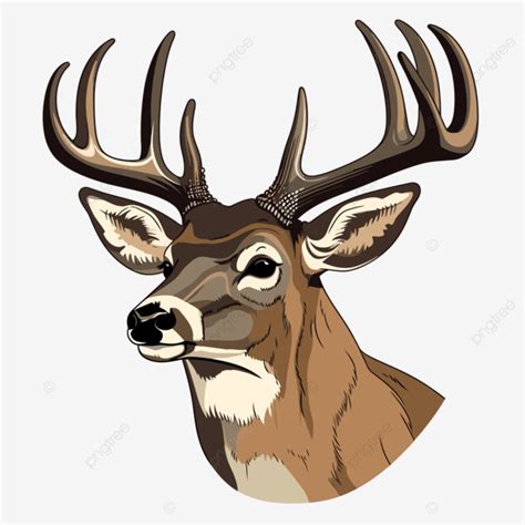 Whitetail Buck Vector Sticker Clipart Whitetail Buck Head Cartoon