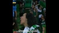 Palmeiras Search XVIDEOS