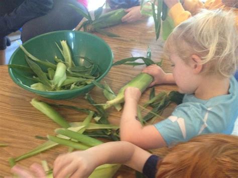 Shucking Corn Cobs So Much To Do