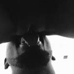 Windy Pipes S Porn Videos Pornhub